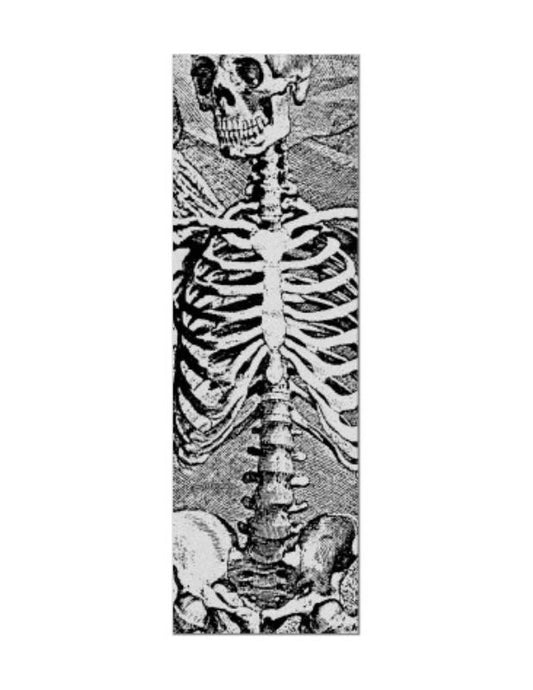 Lija Powell Peralta Skull and Sword Skeleton Clear 10.5"