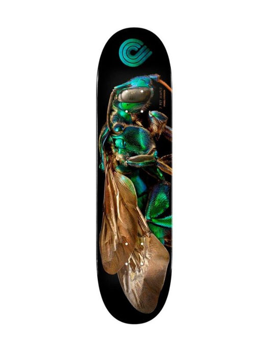Tabla Skate Powell Peralta Biss Cuckoo Bee 8"